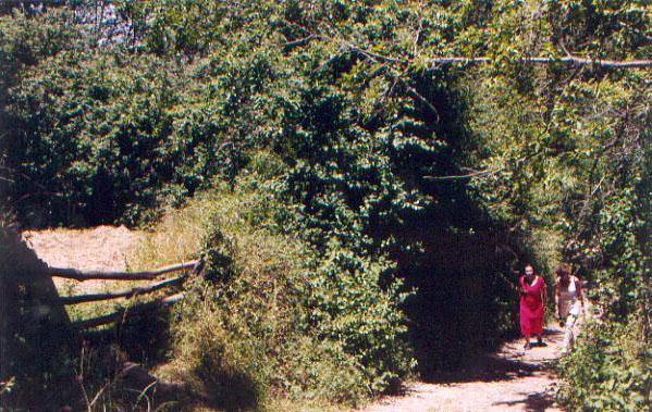 El Risco Del Lomero, Alberca 4 Huesp Max Valdelarco Zewnętrze zdjęcie